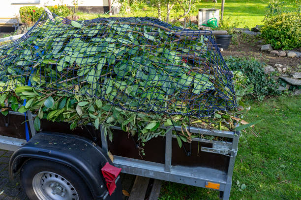 Best Dumpster Rental Services  in Swift Trail Junction, AZ